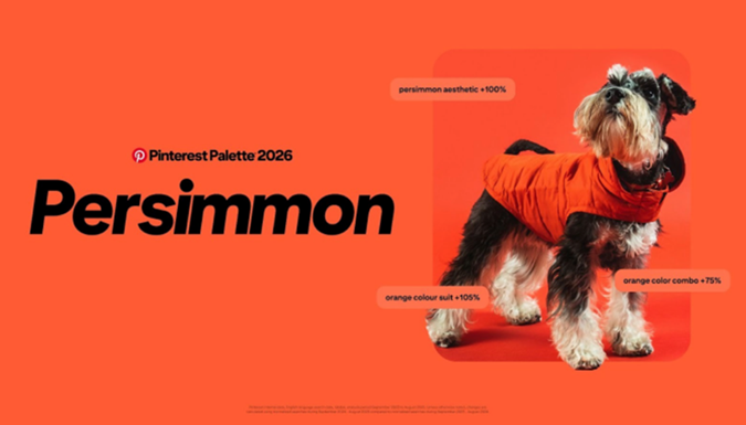 Supplied by Pinterest